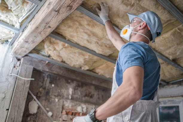 Best Insulation for Specific Applications in Cascades, VA