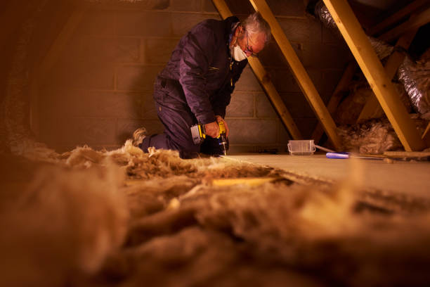 Best Insulation Maintenance and Repair in Cascades, VA